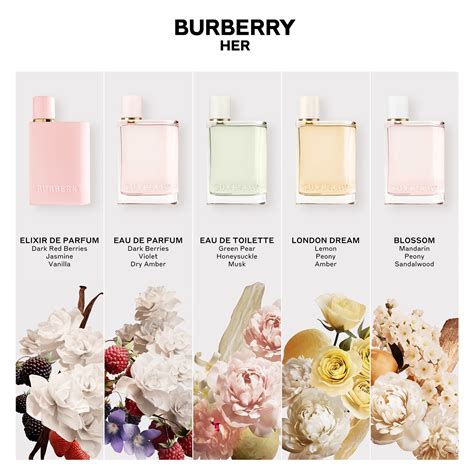 sala burberry|burberry her fragrance.